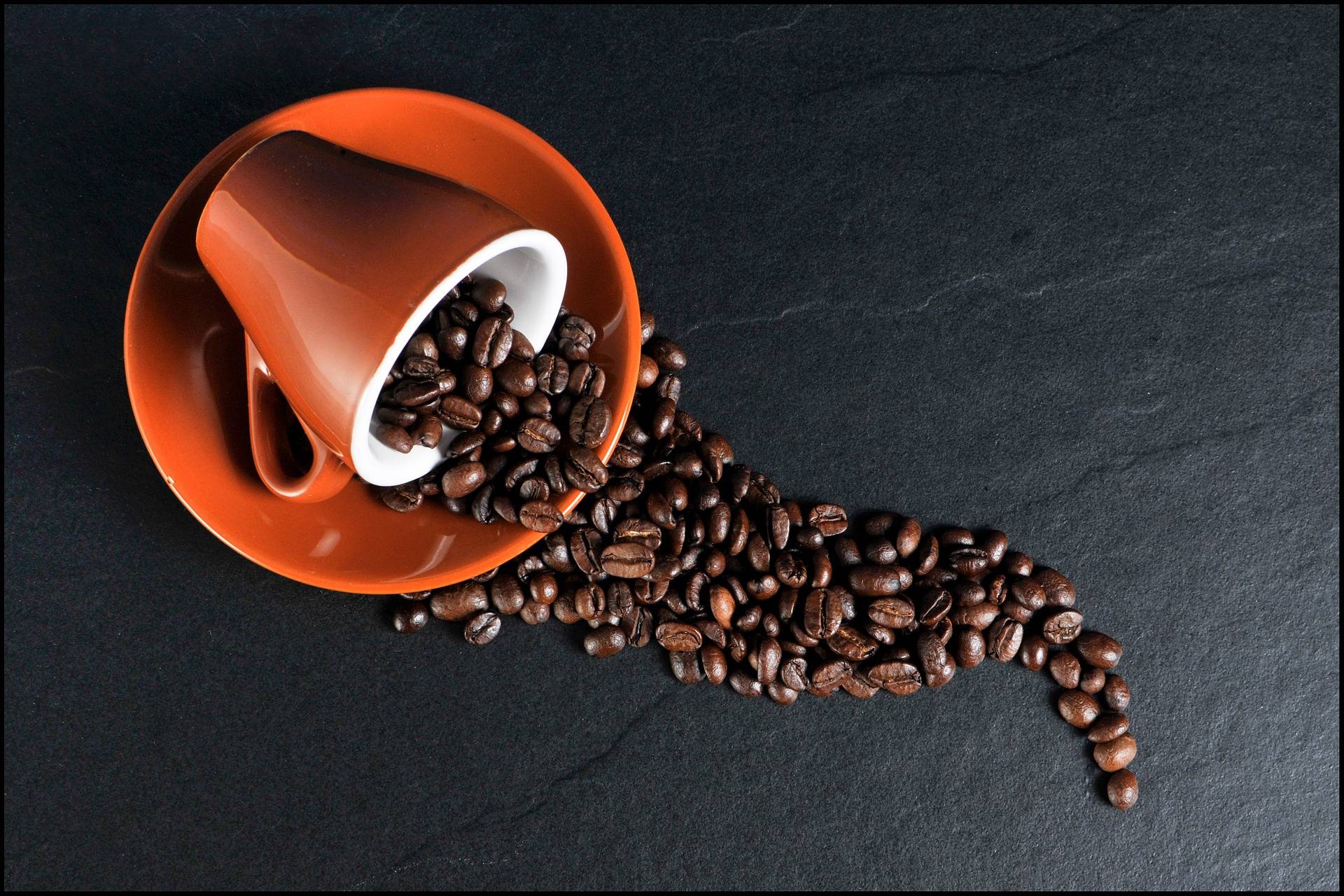 Ankara Coffee Festival Yeniden Bilkent Center’da